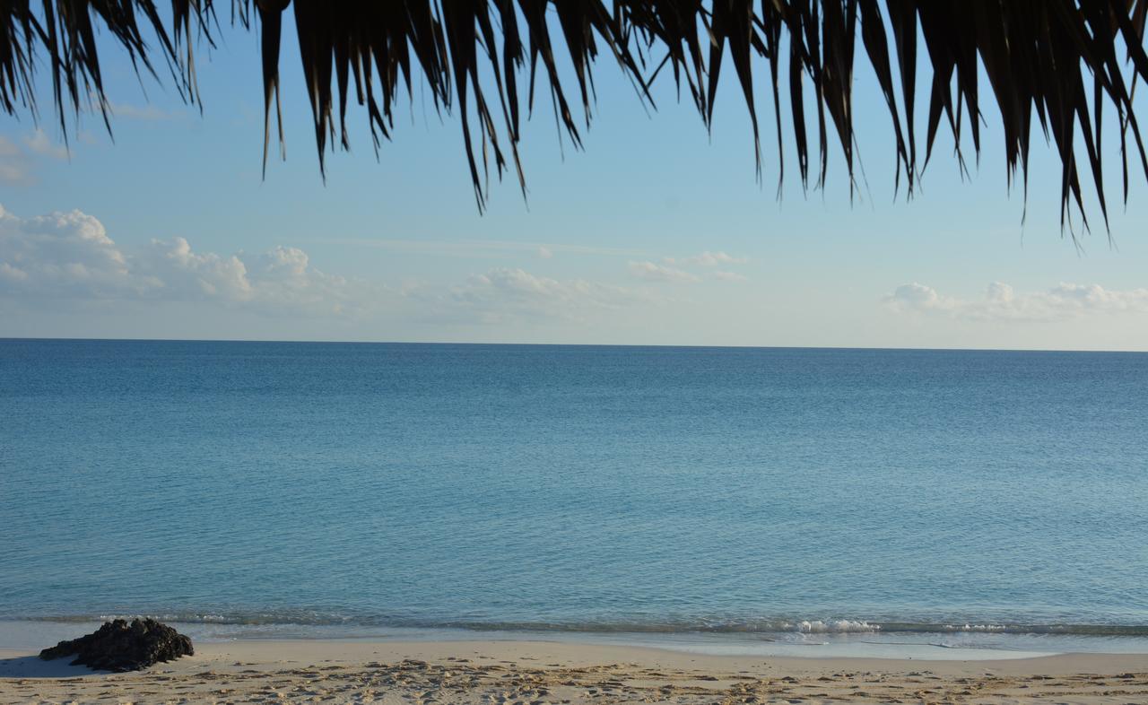 Pigeon Cay Beach Club Arthur Town Eksteriør bilde