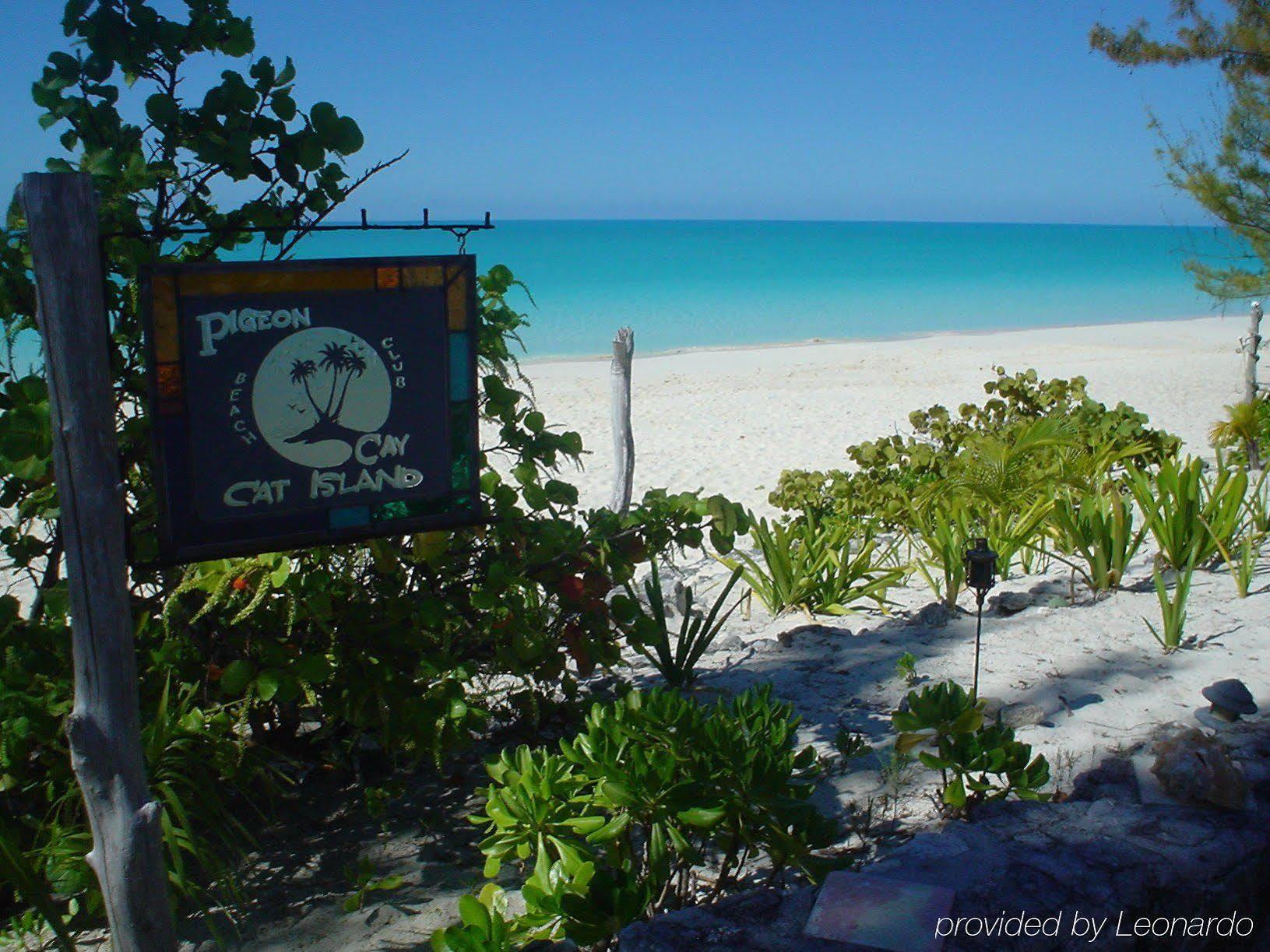 Pigeon Cay Beach Club Arthur Town Eksteriør bilde